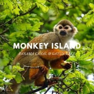 Monkey Island Expedition (Inglés, Español, Portugués, Italiano)