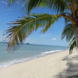 Playa Santa Clara (Inglés, Español, Portugués, Italiano)